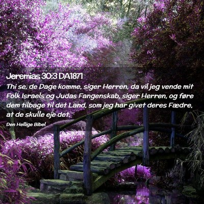 Picture 02 - Jeremias 30:3 DA1871 - Thi se, de Dage komme, siger Herren, da vil jeg - Bible Verse Picture