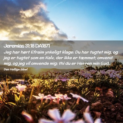 Picture 02 - Jeremias 31:18 DA1871 - Jeg har hørt Efraim ynkeligt klage: Du har - Bible Verse Picture