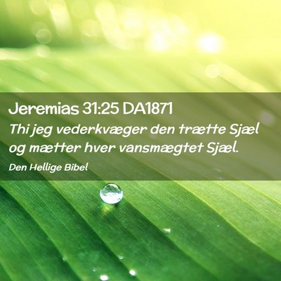 Picture 02 - Jeremias 31:25 DA1871 - Thi jeg vederkvæger den trætte Sjæl og mætter - Bible Verse Picture