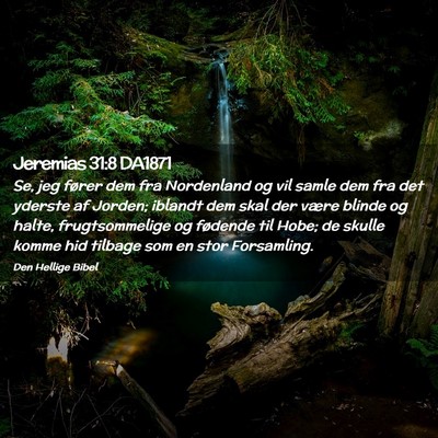 Picture 02 - Jeremias 31:8 DA1871 - Se, jeg fører dem fra Nordenland og vil samle - Bible Verse Picture