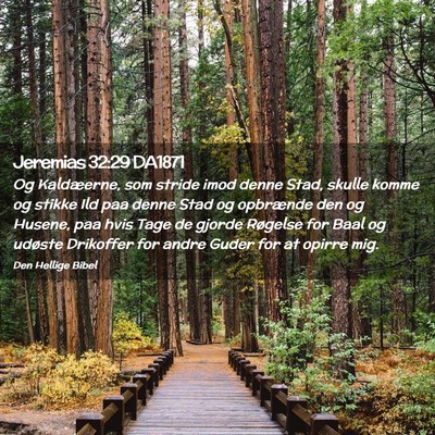 Picture 02 - Jeremias 32:29 DA1871 - Og Kaldæerne, som stride imod denne Stad, skulle - Bible Verse Picture