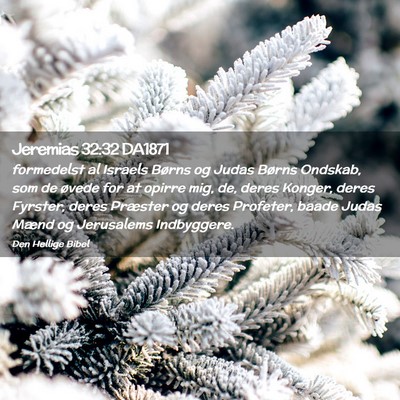 Picture 02 - Jeremias 32:32 DA1871 - formedelst al Israels Børns og Judas Børns - Bible Verse Picture