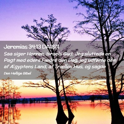 Picture 02 - Jeremias 34:13 DA1871 - Saa siger Herren, Israels Gud: Jeg sluttede en - Bible Verse Picture