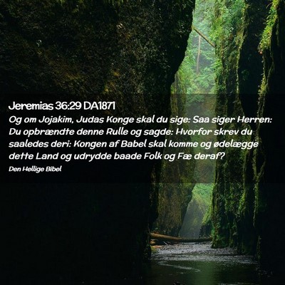 Picture 02 - Jeremias 36:29 DA1871 - Og om Jojakim, Judas Konge skal du sige: Saa - Bible Verse Picture