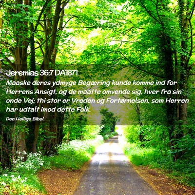 Picture 02 - Jeremias 36:7 DA1871 - Maaske deres ydmyge Begæring kunde komme ind for - Bible Verse Picture