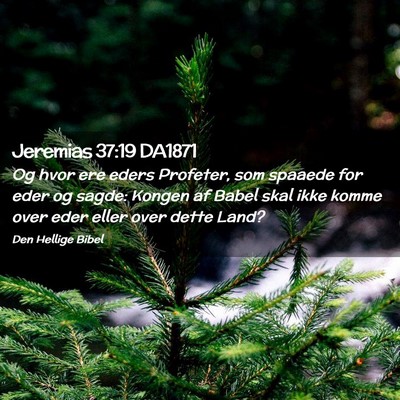 Picture 02 - Jeremias 37:19 DA1871 - Og hvor ere eders Profeter, som spaaede for eder - Bible Verse Picture