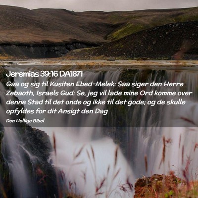 Picture 02 - Jeremias 39:16 DA1871 - Gaa og sig til Kusiten Ebed-Melek: Saa siger den - Bible Verse Picture