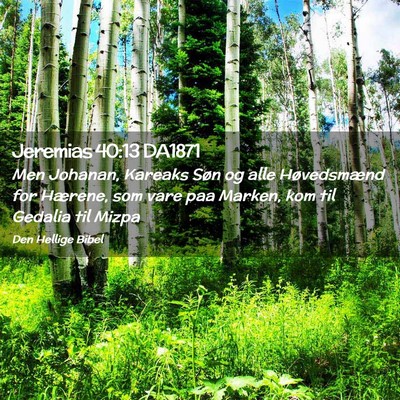 Picture 02 - Jeremias 40:13 DA1871 - Men Johanan, Kareaks Søn og alle Høvedsmænd - Bible Verse Picture