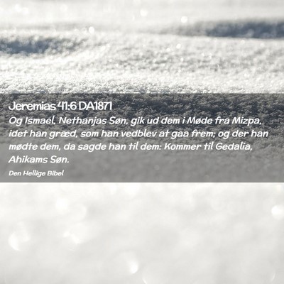 Picture 02 - Jeremias 41:6 DA1871 - Og Ismael, Nethanjas Søn, gik ud dem i Møde fra - Bible Verse Picture