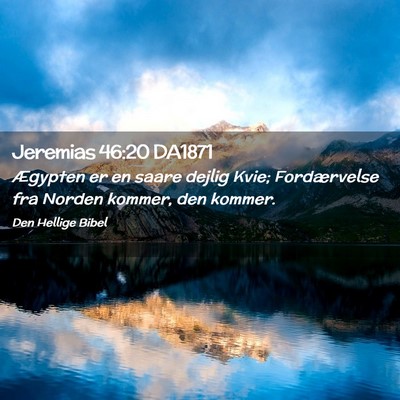 Picture 02 - Jeremias 46:20 DA1871 - Ægypten er en saare dejlig Kvie; Fordærvelse - Bible Verse Picture