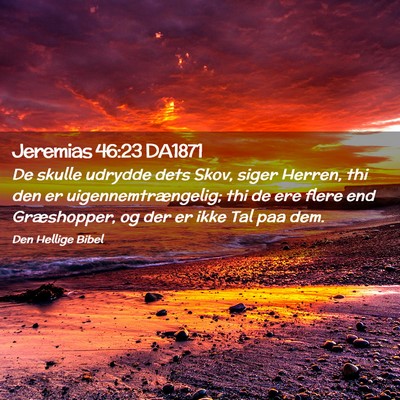 Picture 02 - Jeremias 46:23 DA1871 - De skulle udrydde dets Skov, siger Herren, thi - Bible Verse Picture