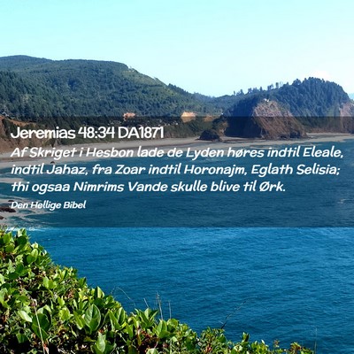 Picture 02 - Jeremias 48:34 DA1871 - Af Skriget i Hesbon lade de Lyden høres indtil - Bible Verse Picture