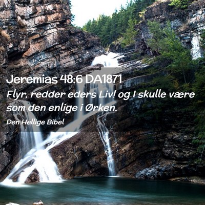 Picture 02 - Jeremias 48:6 DA1871 - Flyr, redder eders Liv! og I skulle være som den - Bible Verse Picture