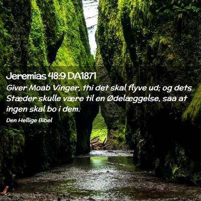 Picture 02 - Jeremias 48:9 DA1871 - Giver Moab Vinger, thi det skal flyve ud; og dets - Bible Verse Picture