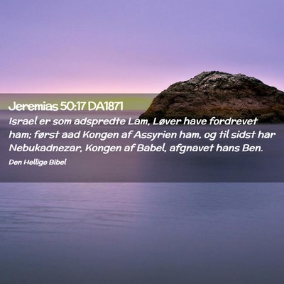 Picture 02 - Jeremias 50:17 DA1871 - Israel er som adspredte Lam, Løver have - Bible Verse Picture