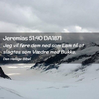 Picture 02 - Jeremias 51:40 DA1871 - Jeg vil føre dem ned som Lam til at slagtes som - Bible Verse Picture