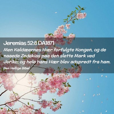Picture 02 - Jeremias 52:8 DA1871 - Men Kaldæernes Hær forfulgte Kongen, og de - Bible Verse Picture