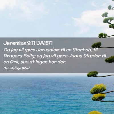 Picture 02 - Jeremias 9:11 DA1871 - Og jeg vil gøre Jerusalem til en Stenhob, til - Bible Verse Picture