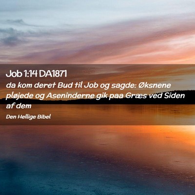 Picture 02 - Job 1:14 DA1871 - da kom deret Bud til Job og sagde: Øksnene - Bible Verse Picture