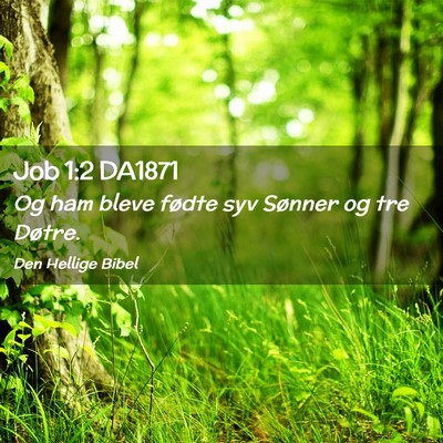 Picture 02 - Job 1:2 DA1871 - Og ham bleve fødte syv Sønner og tre - Bible Verse Picture