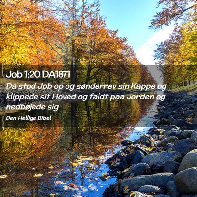 Picture 02 - Job 1:20 DA1871 - Da stod Job op og sønderrev sin Kappe og - Bible Verse Picture