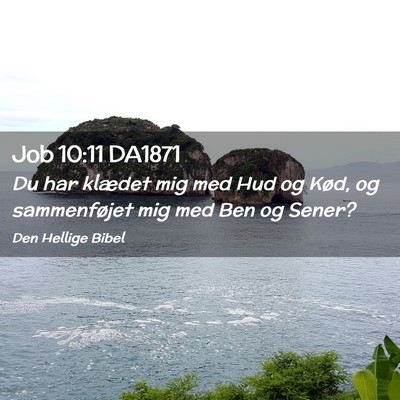 Picture 02 - Job 10:11 DA1871 - Du har klædet mig med Hud og Kød, og - Bible Verse Picture