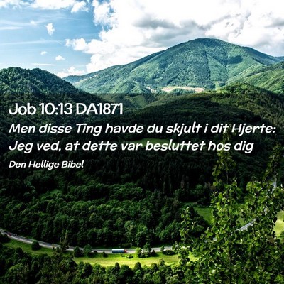 Picture 02 - Job 10:13 DA1871 - Men disse Ting havde du skjult i dit Hjerte: Jeg - Bible Verse Picture