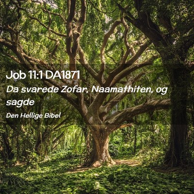 Picture 02 - Job 11:1 DA1871 - Da svarede Zofar, Naamathiten, og - Bible Verse Picture