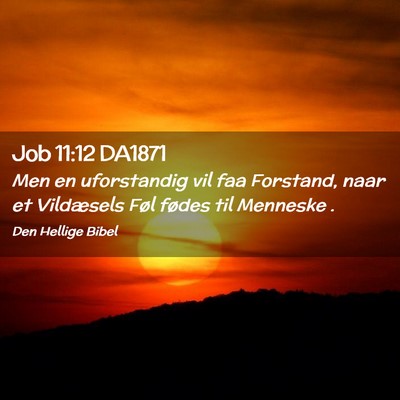 Picture 02 - Job 11:12 DA1871 - Men en uforstandig vil faa Forstand, naar et - Bible Verse Picture
