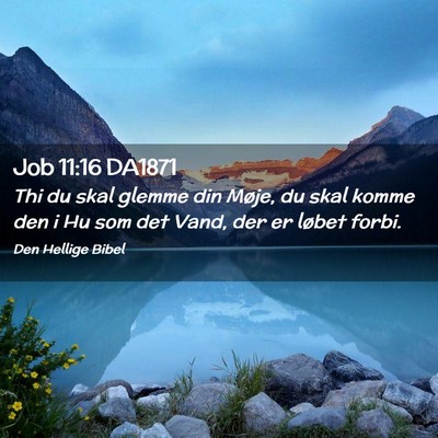 Picture 02 - Job 11:16 DA1871 - Thi du skal glemme din Møje, du skal komme den i - Bible Verse Picture