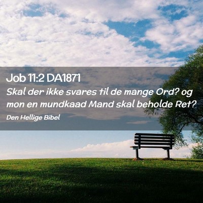 Picture 02 - Job 11:2 DA1871 - Skal der ikke svares til de mange Ord? og mon en - Bible Verse Picture