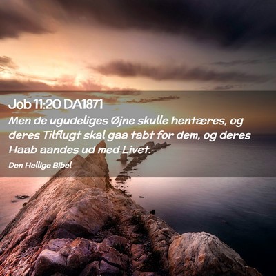 Picture 02 - Job 11:20 DA1871 - Men de ugudeliges Øjne skulle hentæres, og - Bible Verse Picture