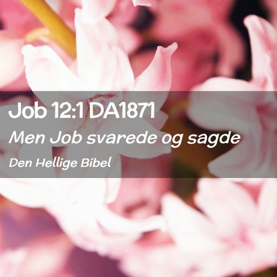 Picture 02 - Job 12:1 DA1871 - Men Job svarede og - Bible Verse Picture