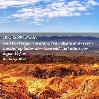 Picture 02 - Job 12:24 DA1871 - Han borttager Forstand fra Folkets Øverster i - Bible Verse Picture