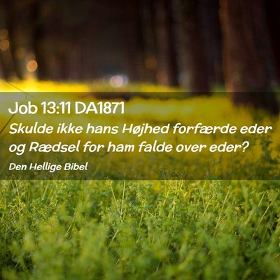 Picture 02 - Job 13:11 DA1871 - Skulde ikke hans Højhed forfærde eder og - Bible Verse Picture