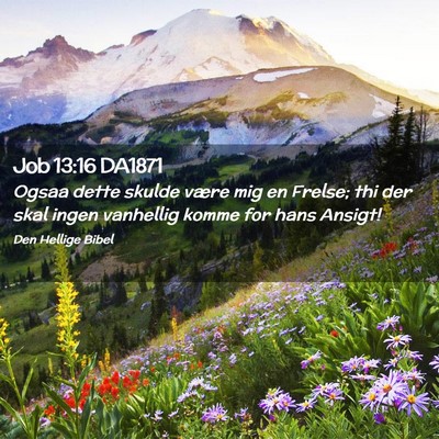 Picture 02 - Job 13:16 DA1871 - Ogsaa dette skulde være mig en Frelse; thi der - Bible Verse Picture