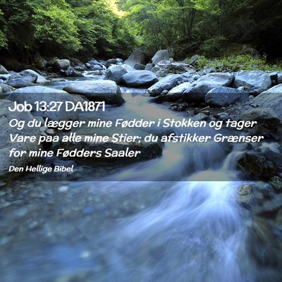 Picture 02 - Job 13:27 DA1871 - Og du lægger mine Fødder i Stokken og tager - Bible Verse Picture