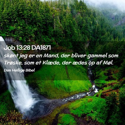 Picture 02 - Job 13:28 DA1871 - skønt jeg er en Mand, der bliver gammel som - Bible Verse Picture
