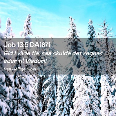 Picture 02 - Job 13:5 DA1871 - Gid I vilde tie, saa skulde det regnes eder til - Bible Verse Picture