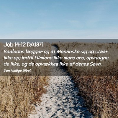 Picture 02 - Job 14:12 DA1871 - Saaledes lægger og at Menneske sig og staar ikke - Bible Verse Picture