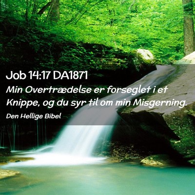Picture 02 - Job 14:17 DA1871 - Min Overtrædelse er forseglet i et Knippe, og du - Bible Verse Picture
