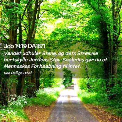 Picture 02 - Job 14:19 DA1871 - Vandet udhuler Stene, og dets Strømme bortskylle - Bible Verse Picture