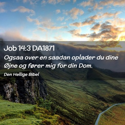 Picture 02 - Job 14:3 DA1871 - Ogsaa over en saadan oplader du dine Øjne og - Bible Verse Picture