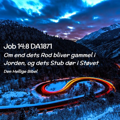 Picture 02 - Job 14:8 DA1871 - Om end dets Rod bliver gammel i Jorden, og dets - Bible Verse Picture