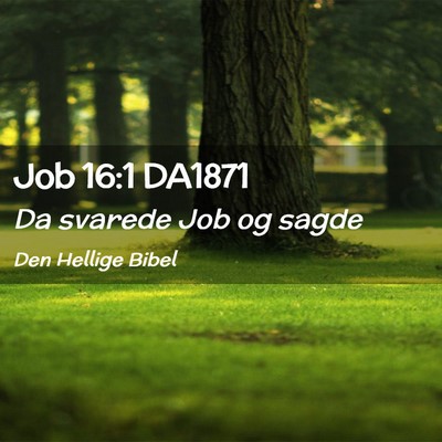 Picture 02 - Job 16:1 DA1871 - Da svarede Job og - Bible Verse Picture