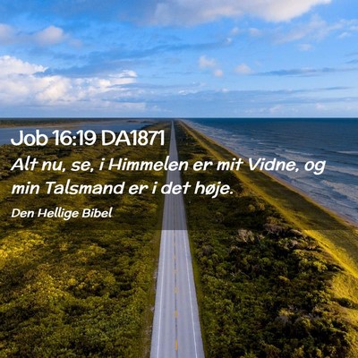 Picture 02 - Job 16:19 DA1871 - Alt nu, se, i Himmelen er mit Vidne, og min - Bible Verse Picture