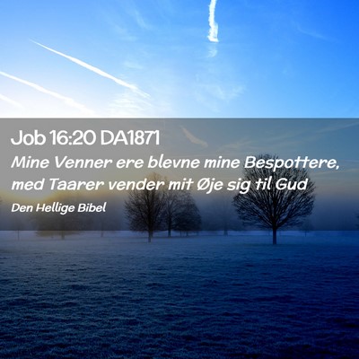 Picture 02 - Job 16:20 DA1871 - Mine Venner ere blevne mine Bespottere, med - Bible Verse Picture