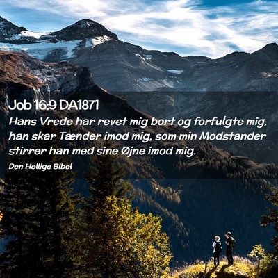 Picture 02 - Job 16:9 DA1871 - Hans Vrede har revet mig bort og forfulgte mig, - Bible Verse Picture