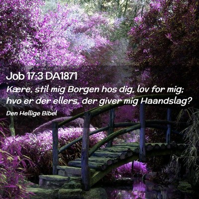 Picture 02 - Job 17:3 DA1871 - Kære, stil mig Borgen hos dig, lov for mig; hvo - Bible Verse Picture