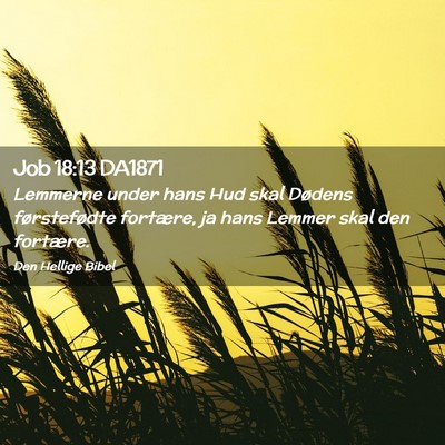 Picture 02 - Job 18:13 DA1871 - Lemmerne under hans Hud skal Dødens - Bible Verse Picture